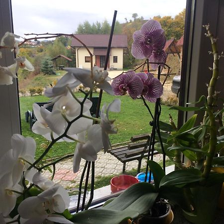 Cabana 7 Brazi Poiana Mărului Екстериор снимка