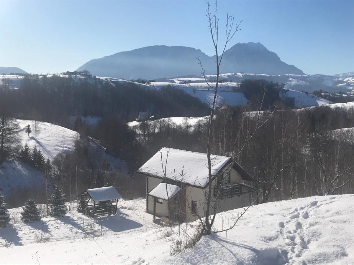 Cabana 7 Brazi Poiana Mărului Екстериор снимка