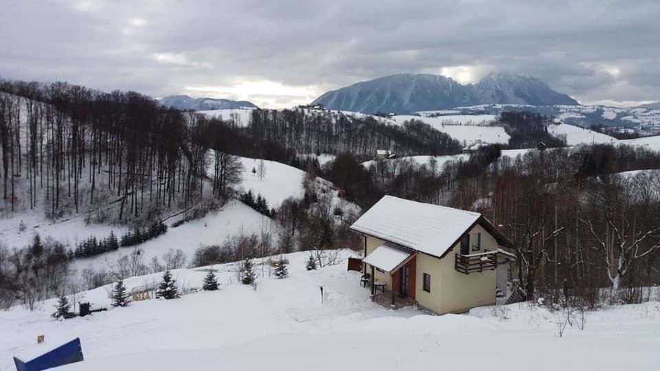 Cabana 7 Brazi Poiana Mărului Екстериор снимка