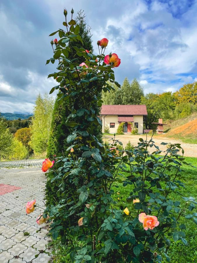 Cabana 7 Brazi Poiana Mărului Екстериор снимка