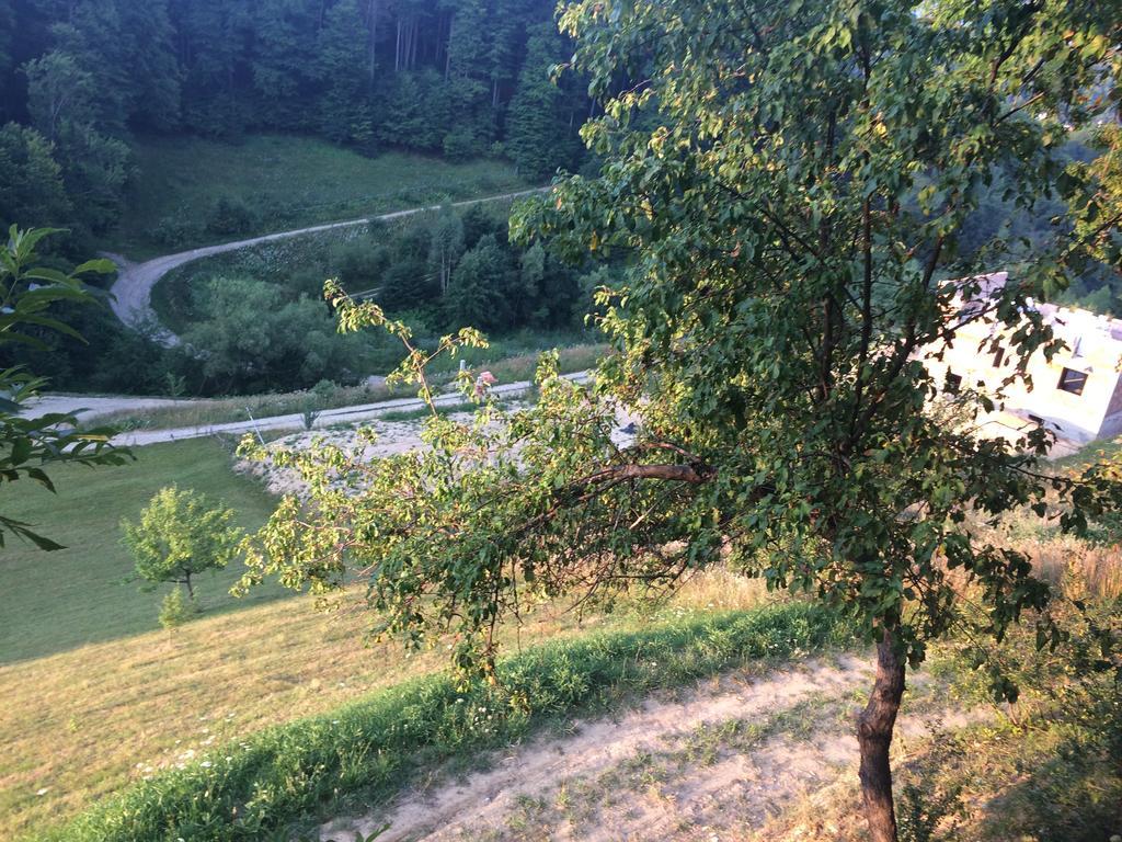 Cabana 7 Brazi Poiana Mărului Екстериор снимка