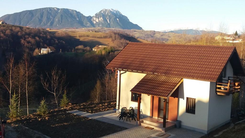 Cabana 7 Brazi Poiana Mărului Екстериор снимка