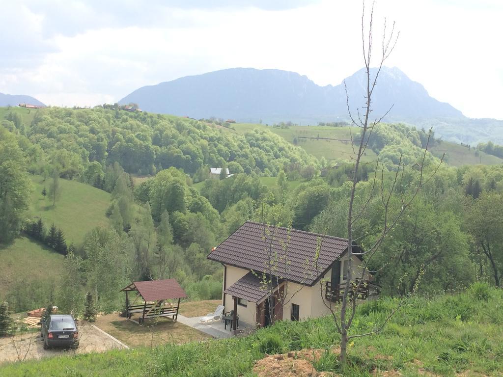 Cabana 7 Brazi Poiana Mărului Екстериор снимка