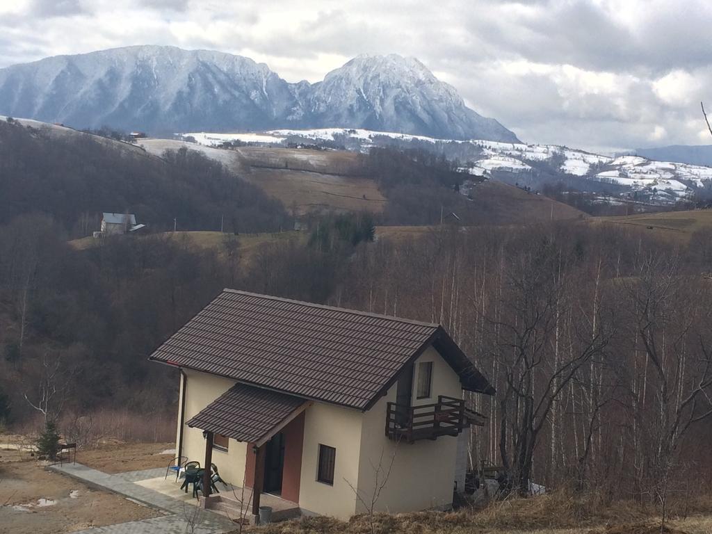 Cabana 7 Brazi Poiana Mărului Екстериор снимка