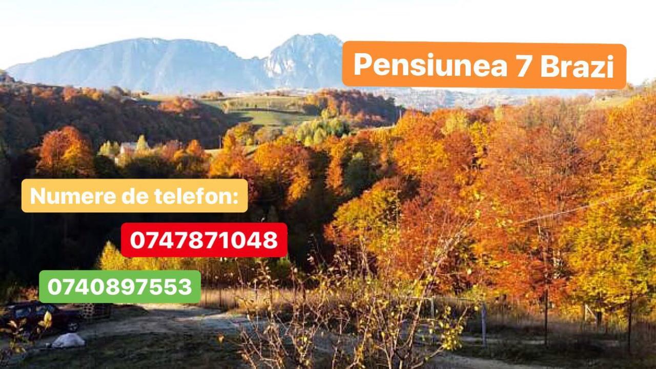 Cabana 7 Brazi Poiana Mărului Екстериор снимка