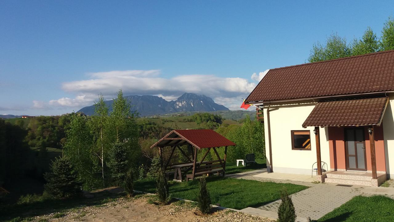 Cabana 7 Brazi Poiana Mărului Екстериор снимка