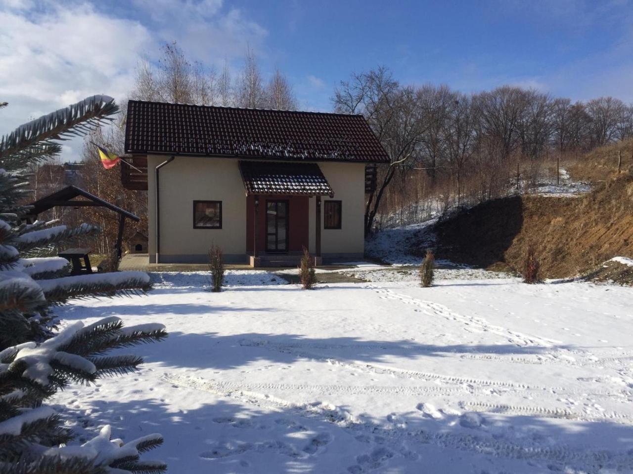 Cabana 7 Brazi Poiana Mărului Екстериор снимка